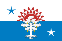 Флаг Серова